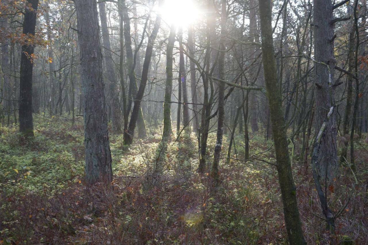 Boshuis Turquoise / Smaakvol Genieten Op De Veluwe * Hoenderloo