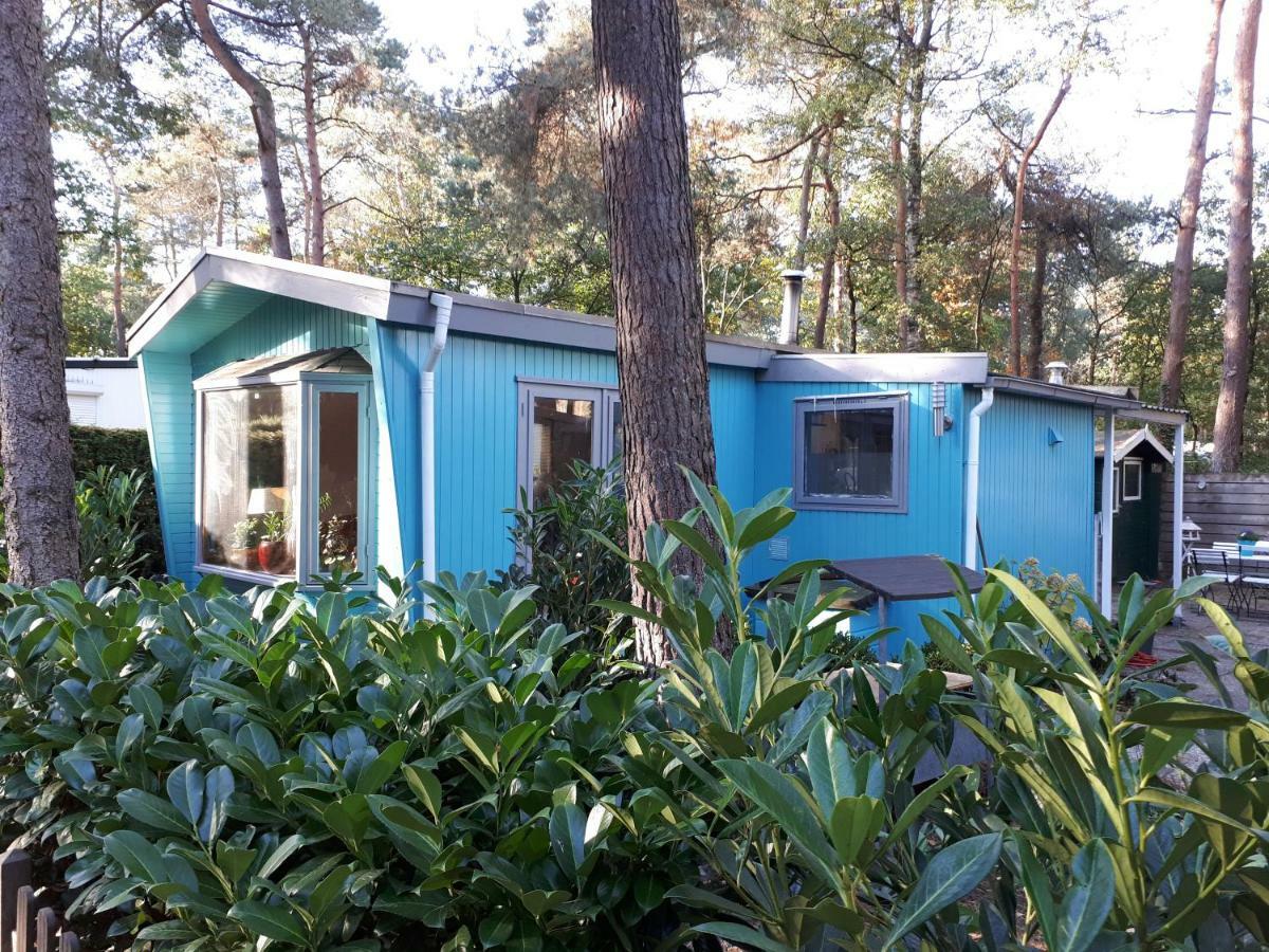 Holiday home Boshuis Turquoise / Smaakvol Genieten Op De Veluwe Hoenderloo