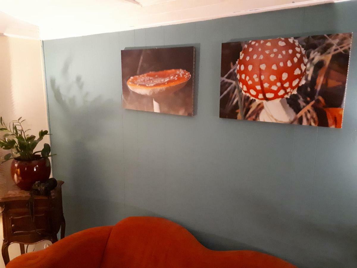 Boshuis Turquoise / Smaakvol Genieten Op De Veluwe Holiday home Hoenderloo